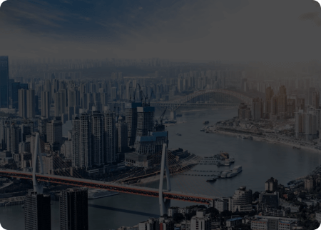 跨国企业/海外分支企业