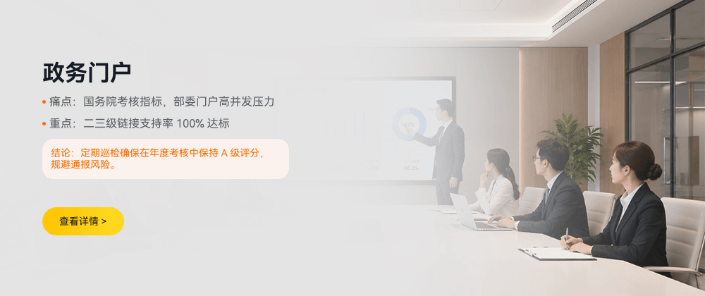 政务门户 IPv6 检测方案