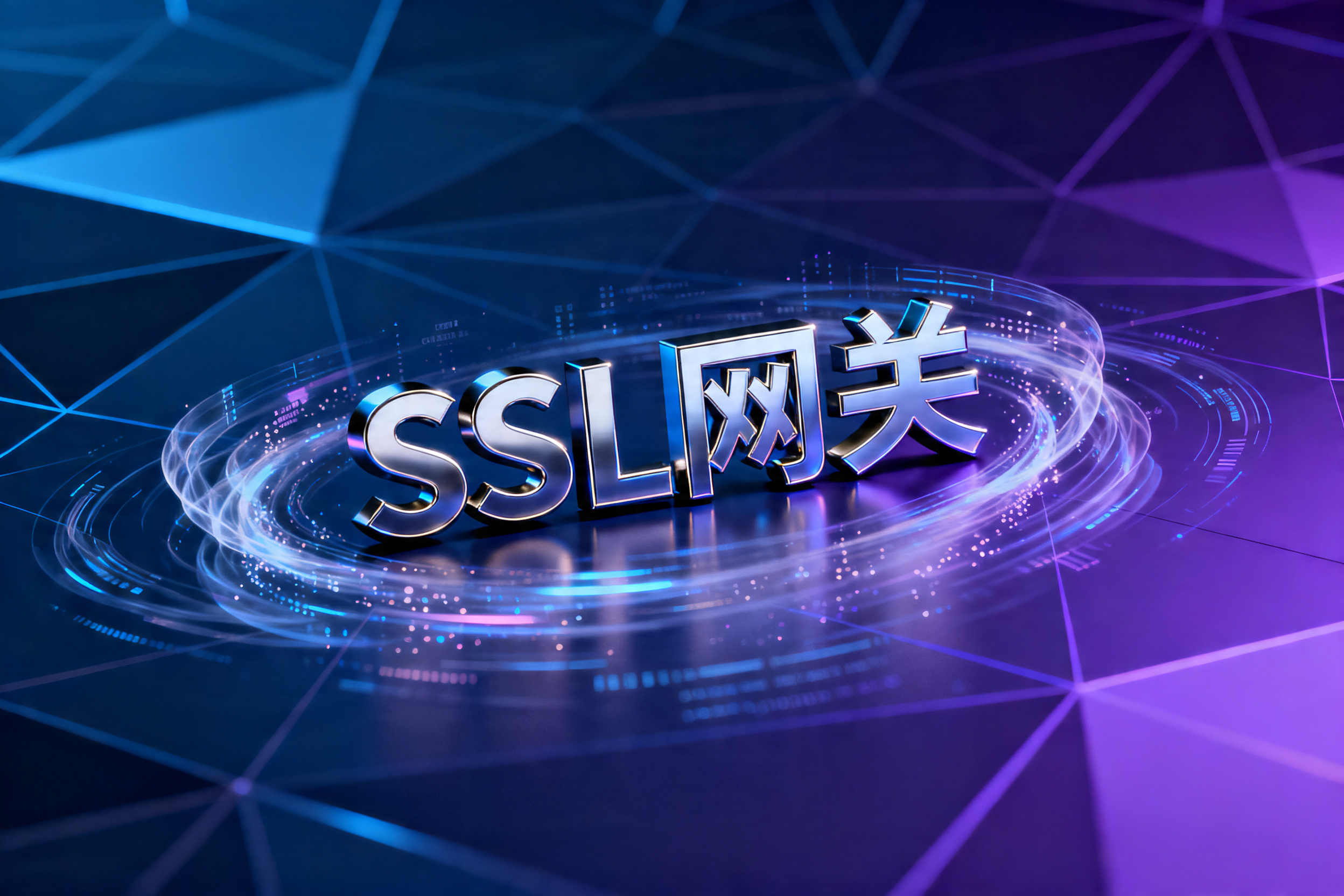 SSL网关