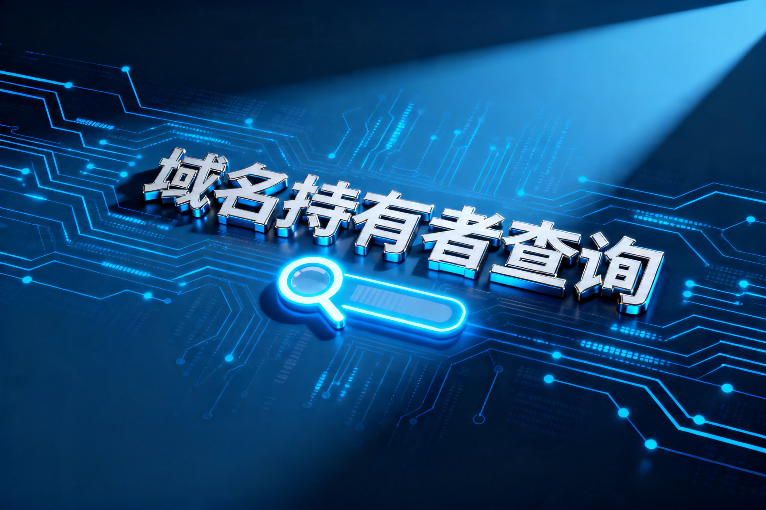 域名持有者查询