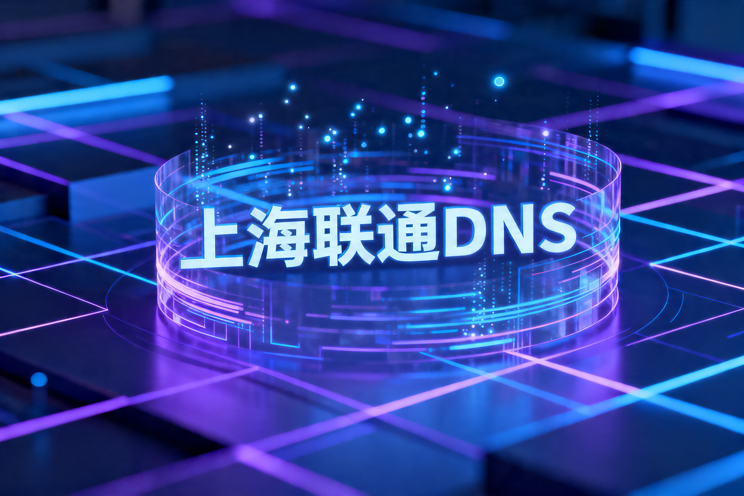 上海联通DNS