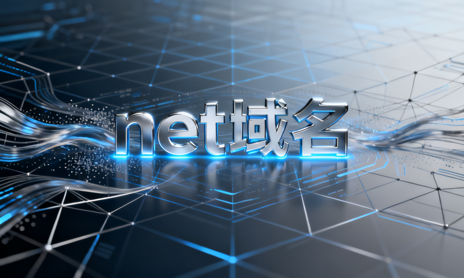 net域名