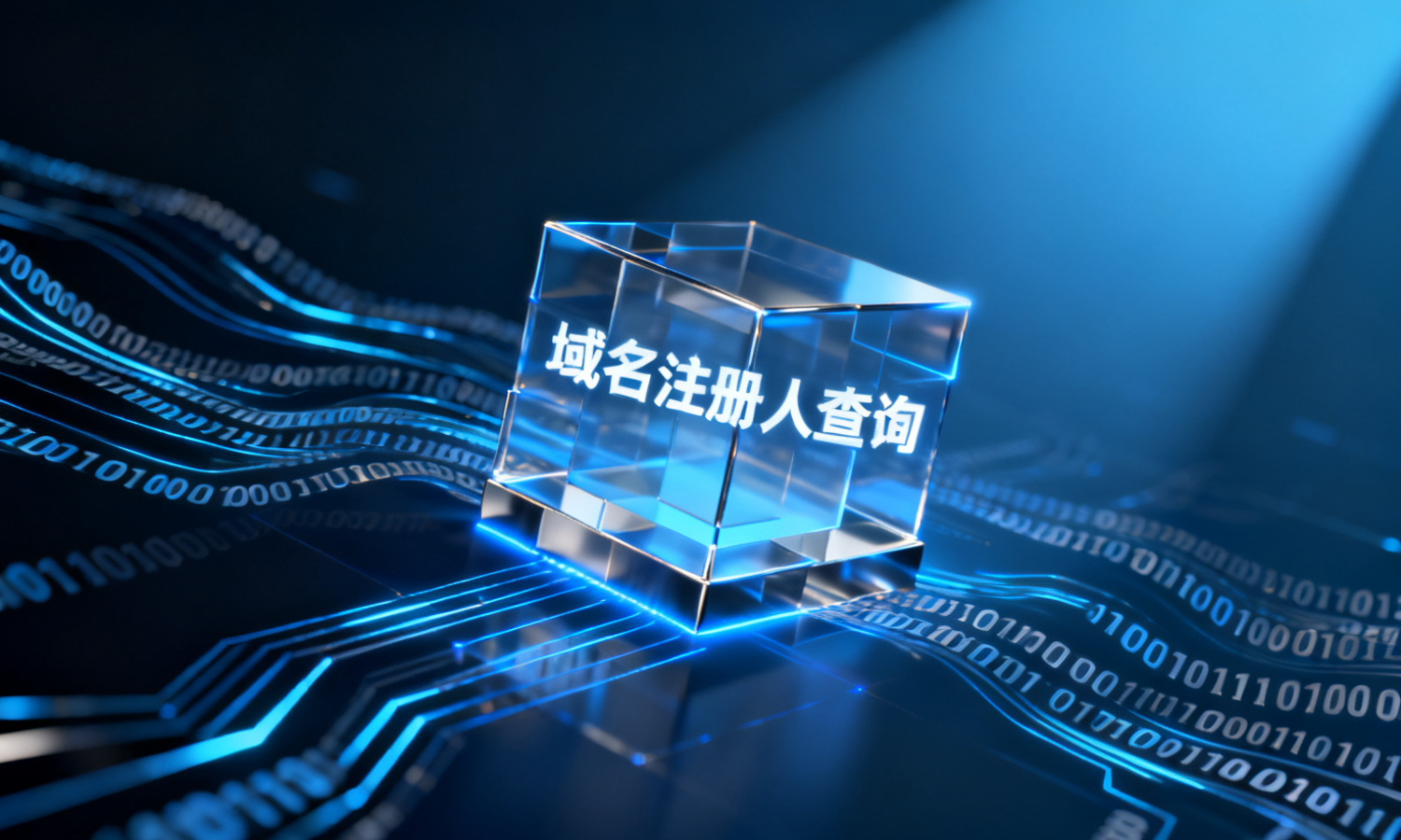 域名注册人查询