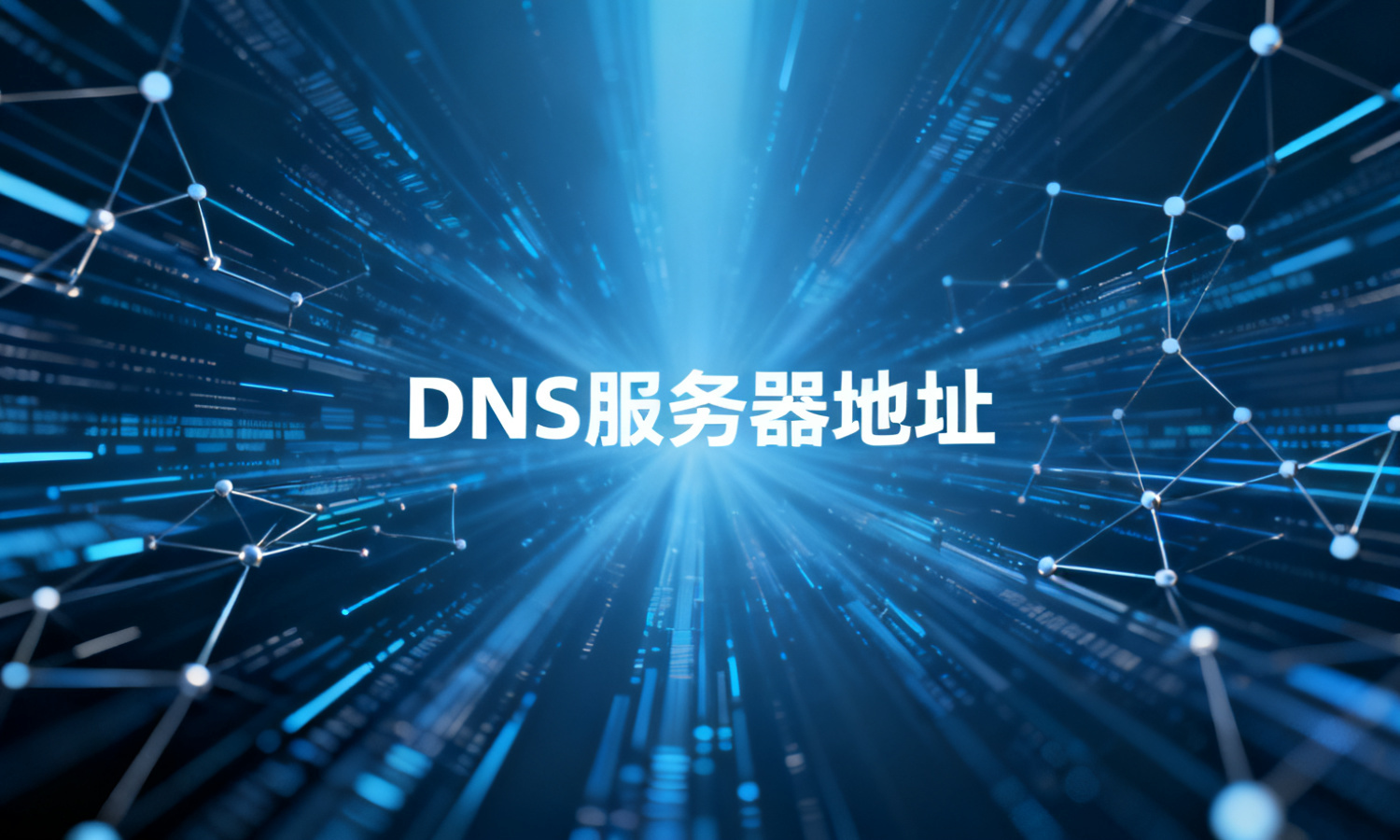 DNS服务器地址