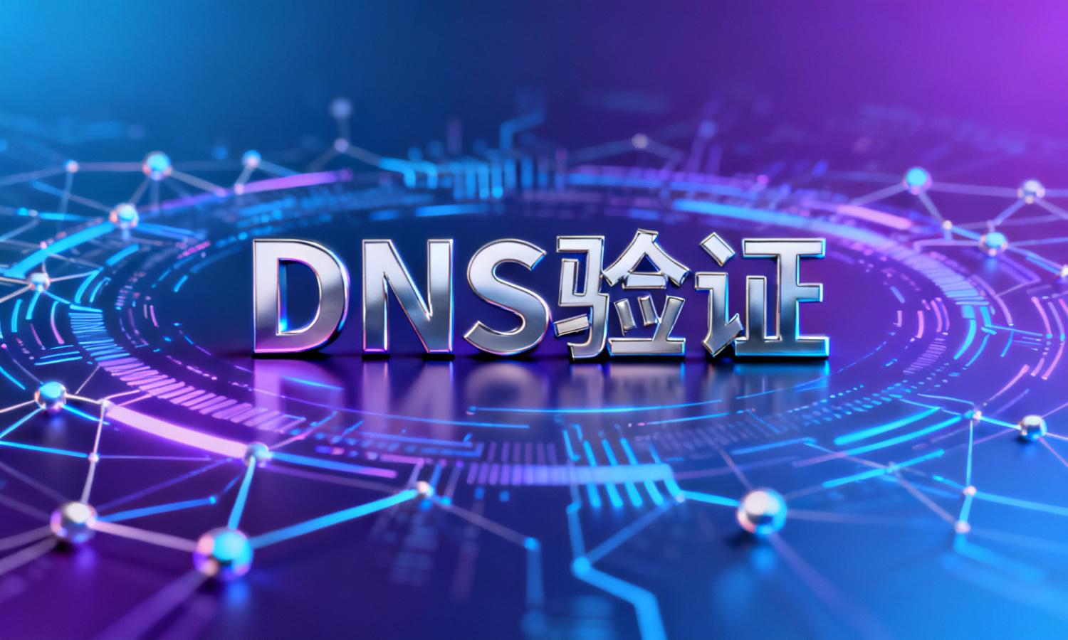 DNS验证