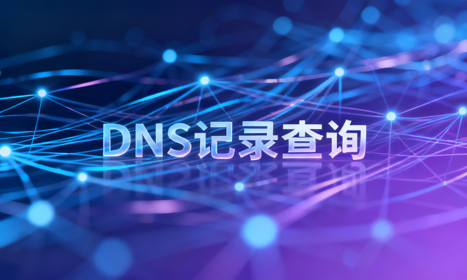 DNS记录查询