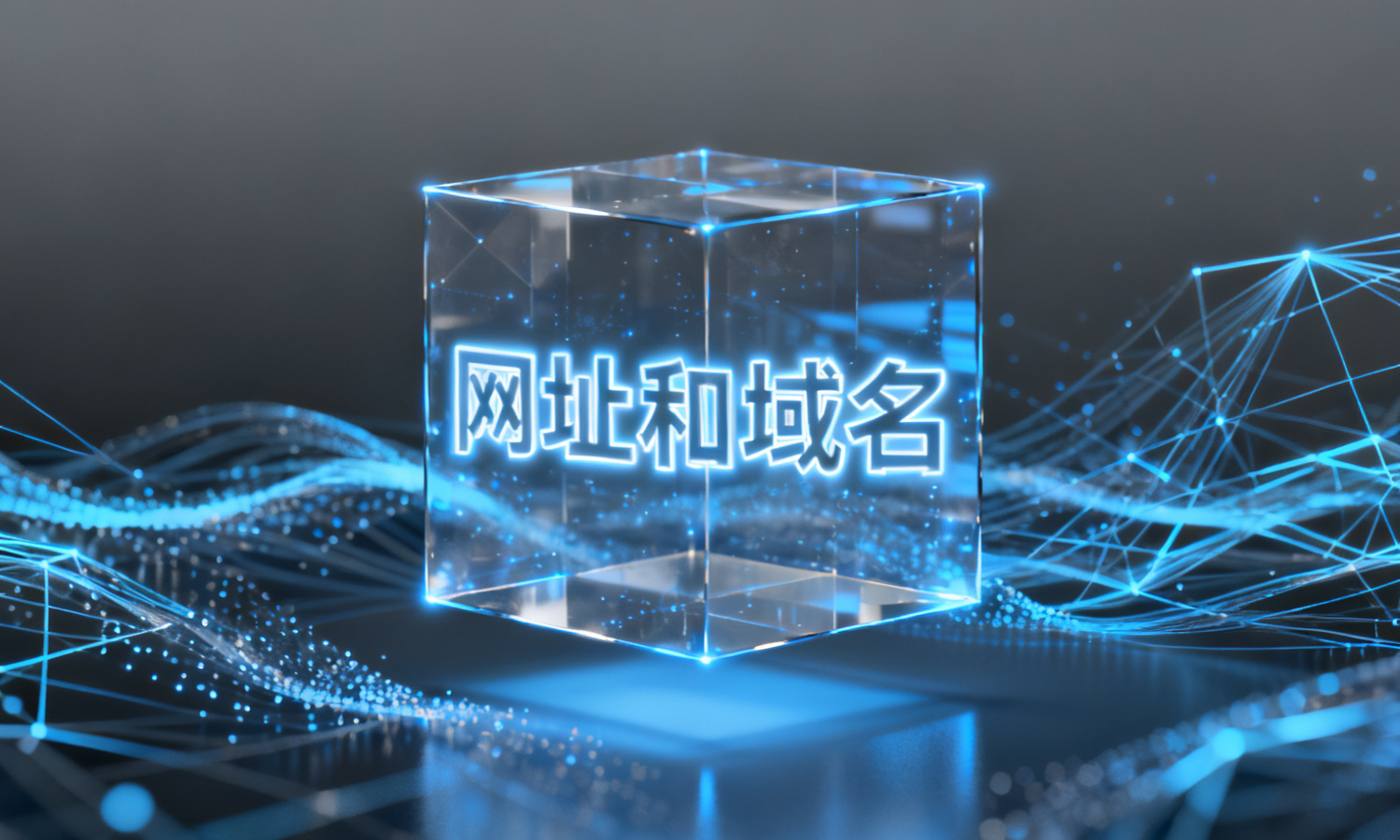 网址和域名