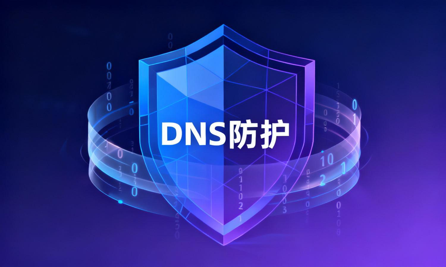 DNS防护