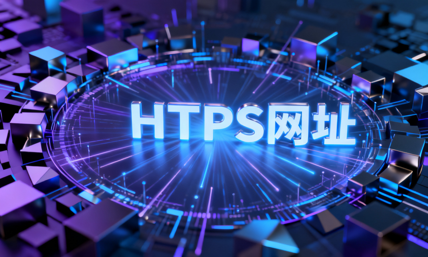 HTTPS网址