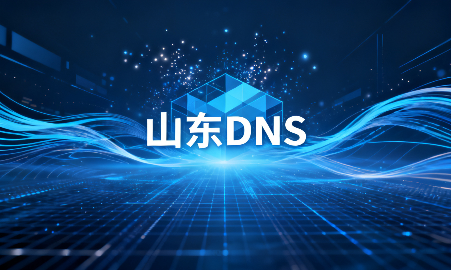 山东DNS