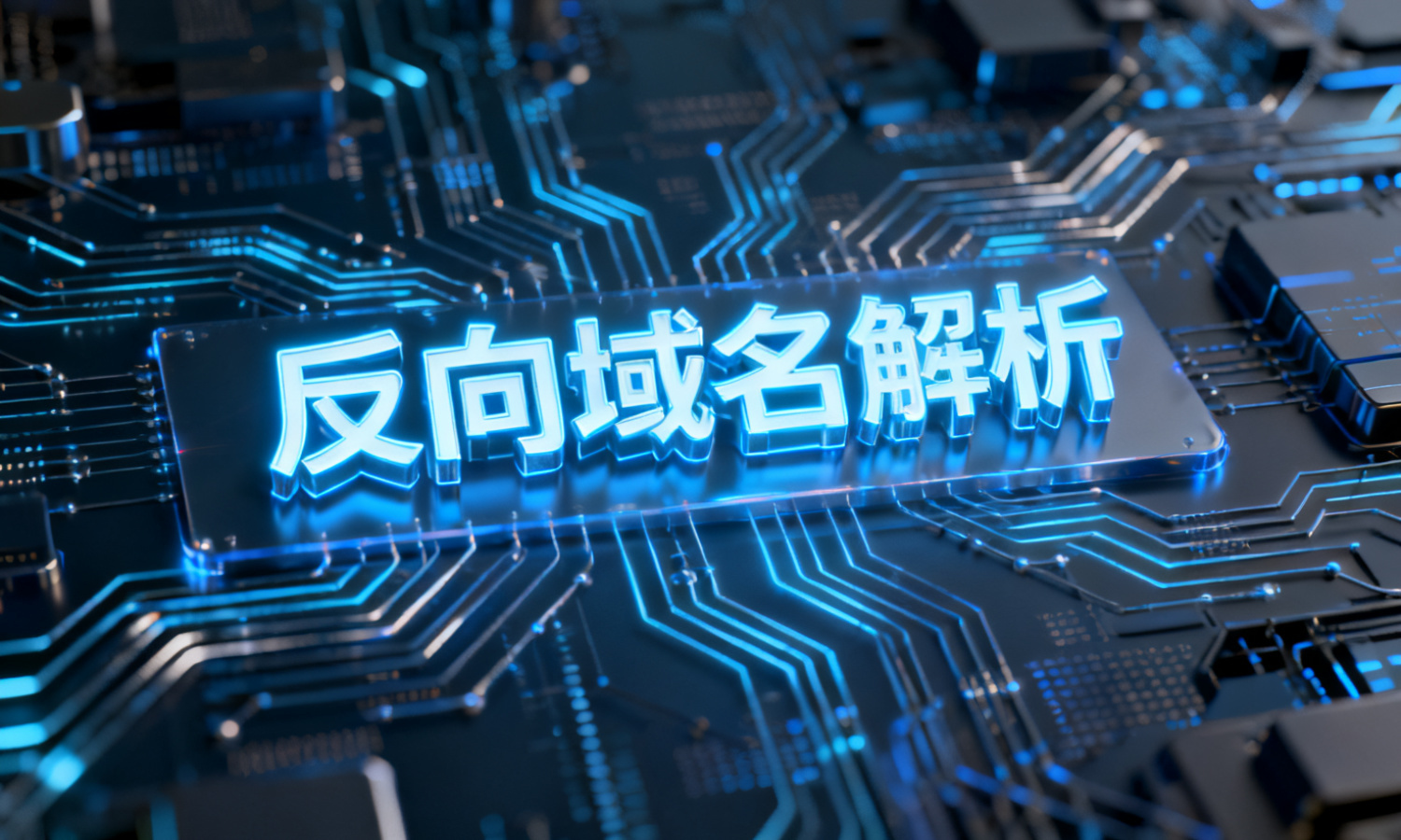 反向域名解析