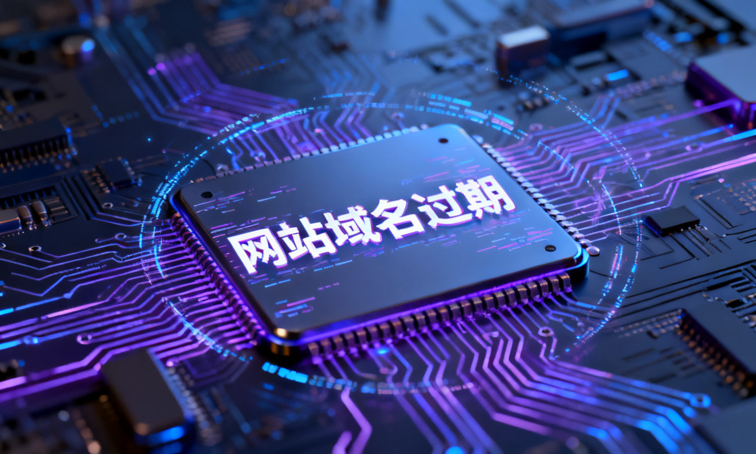 网站域名过期