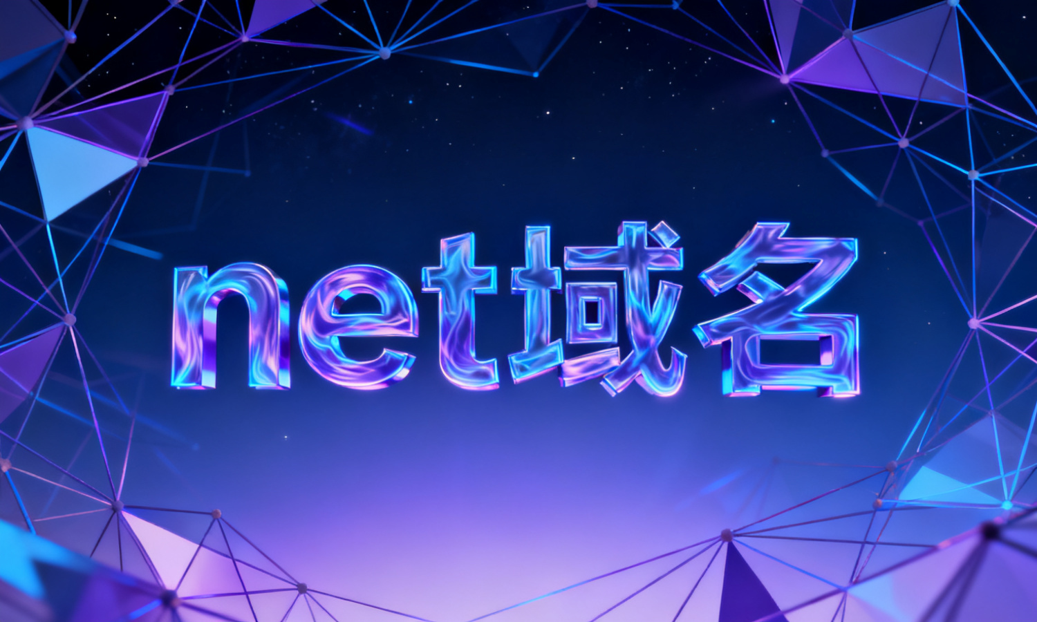 net域名