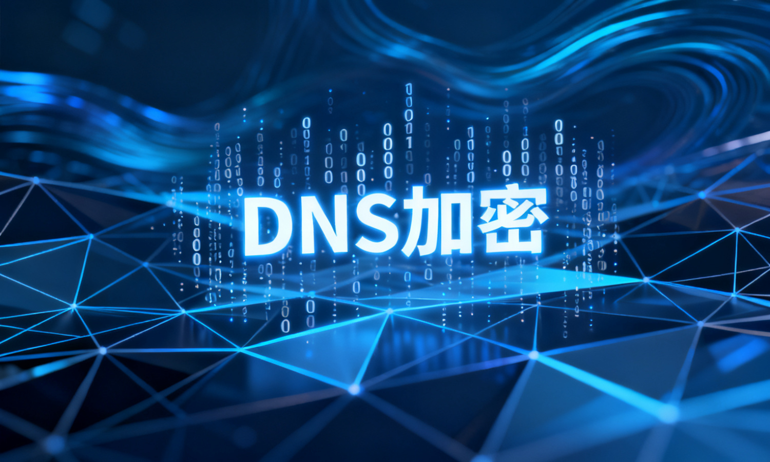 DNS加密