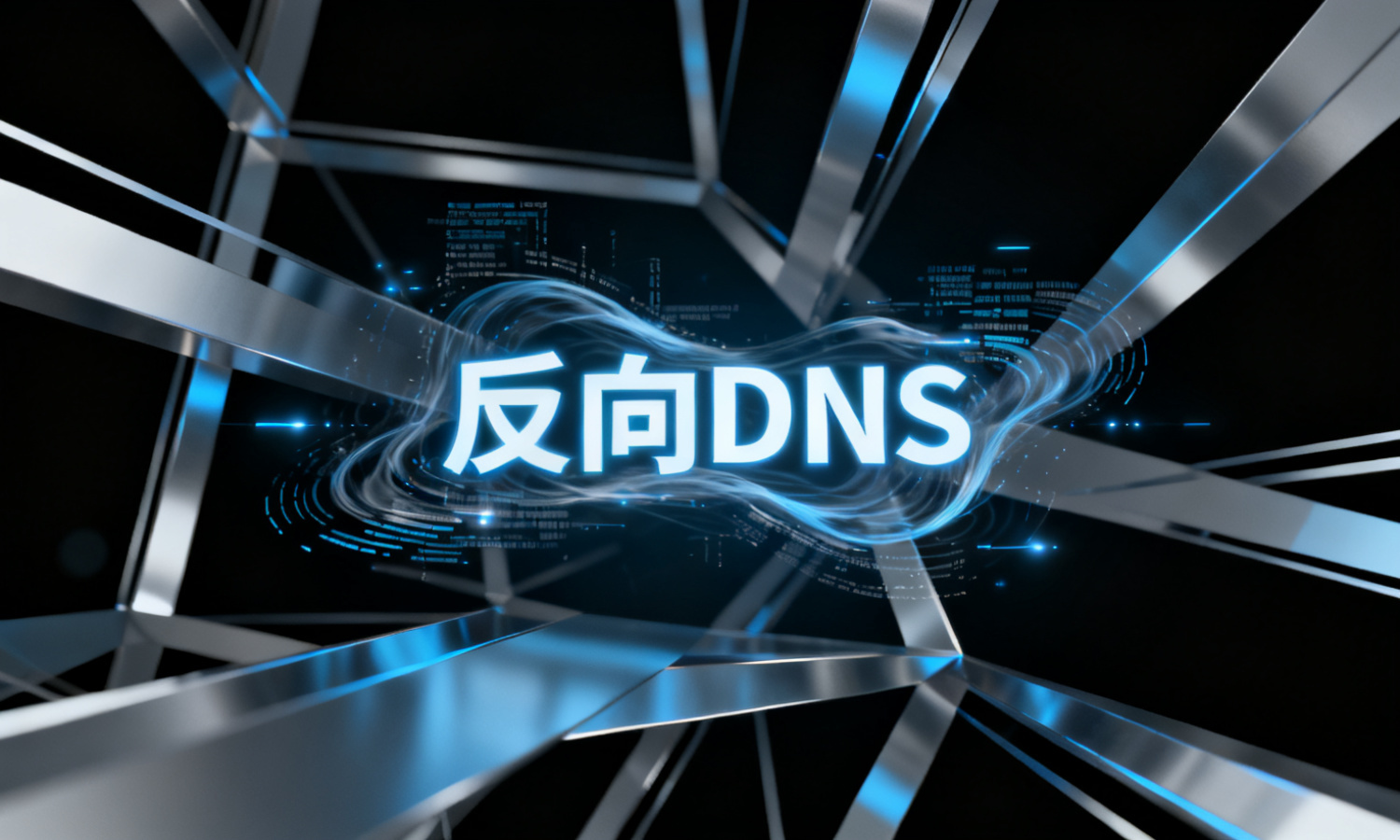 反向DNS