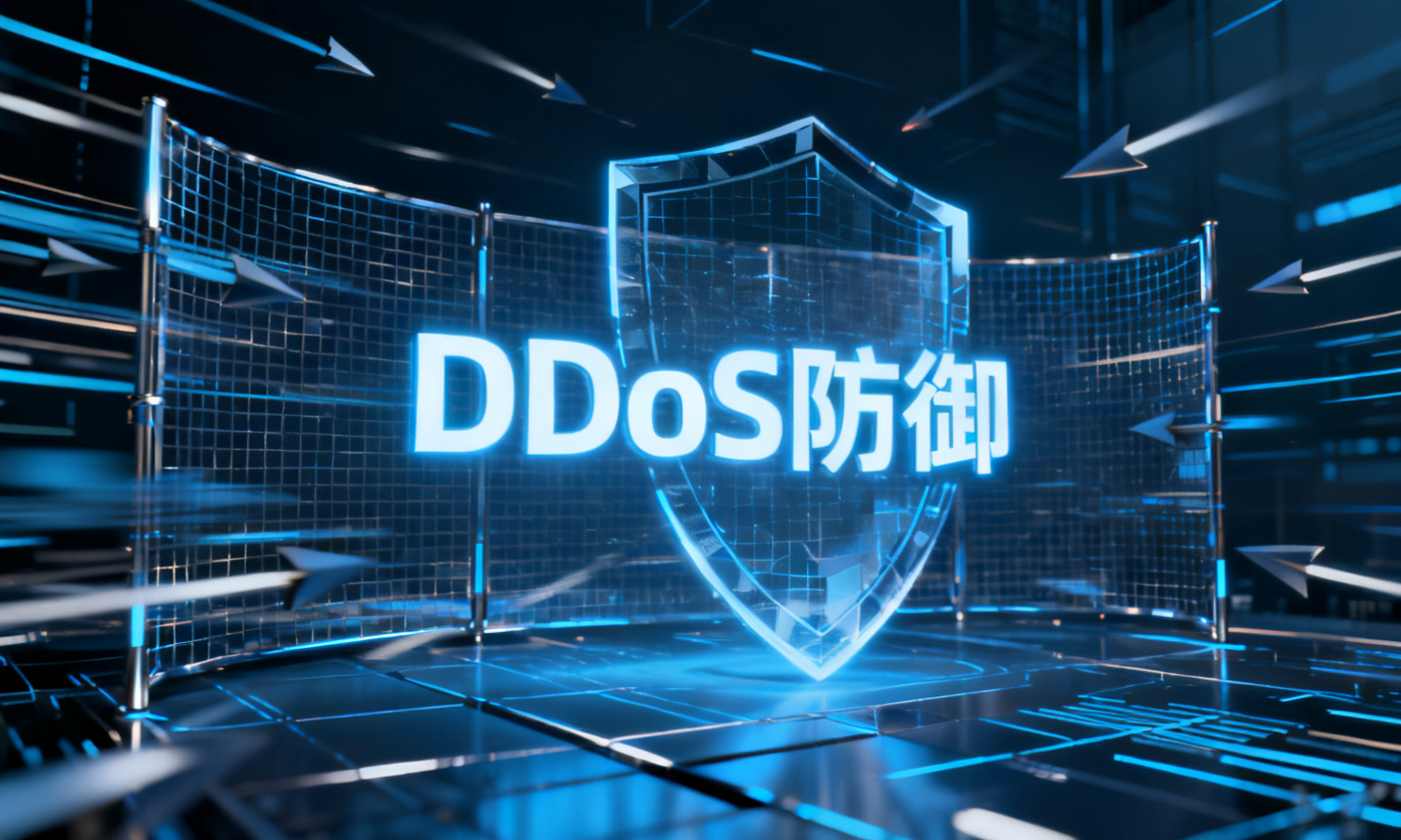 DDoS防御
