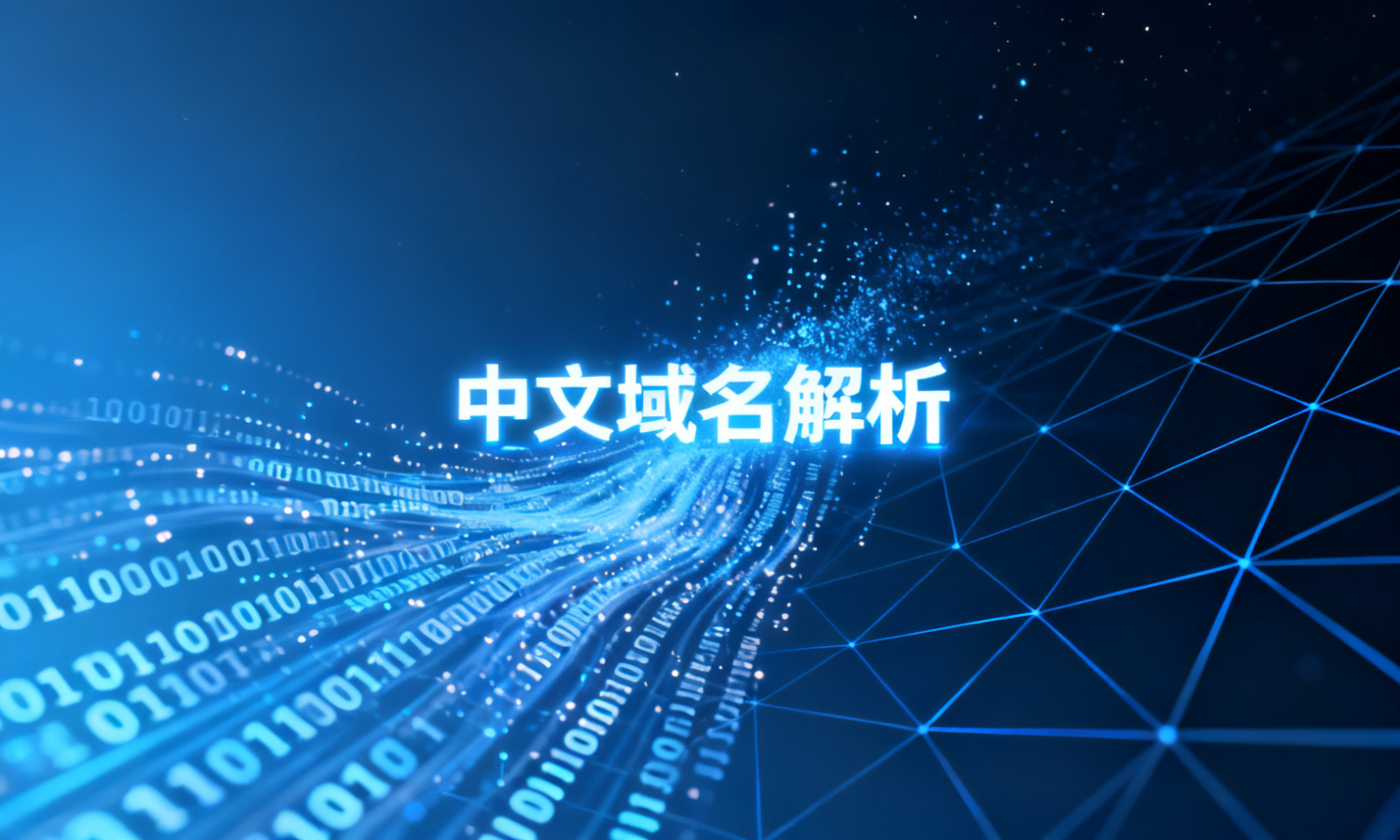 中文域名解析