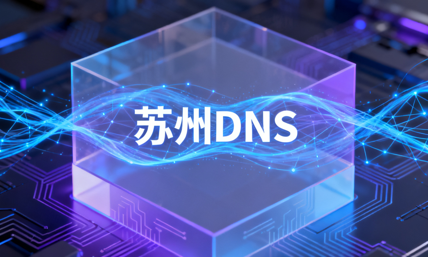 苏州DNS
