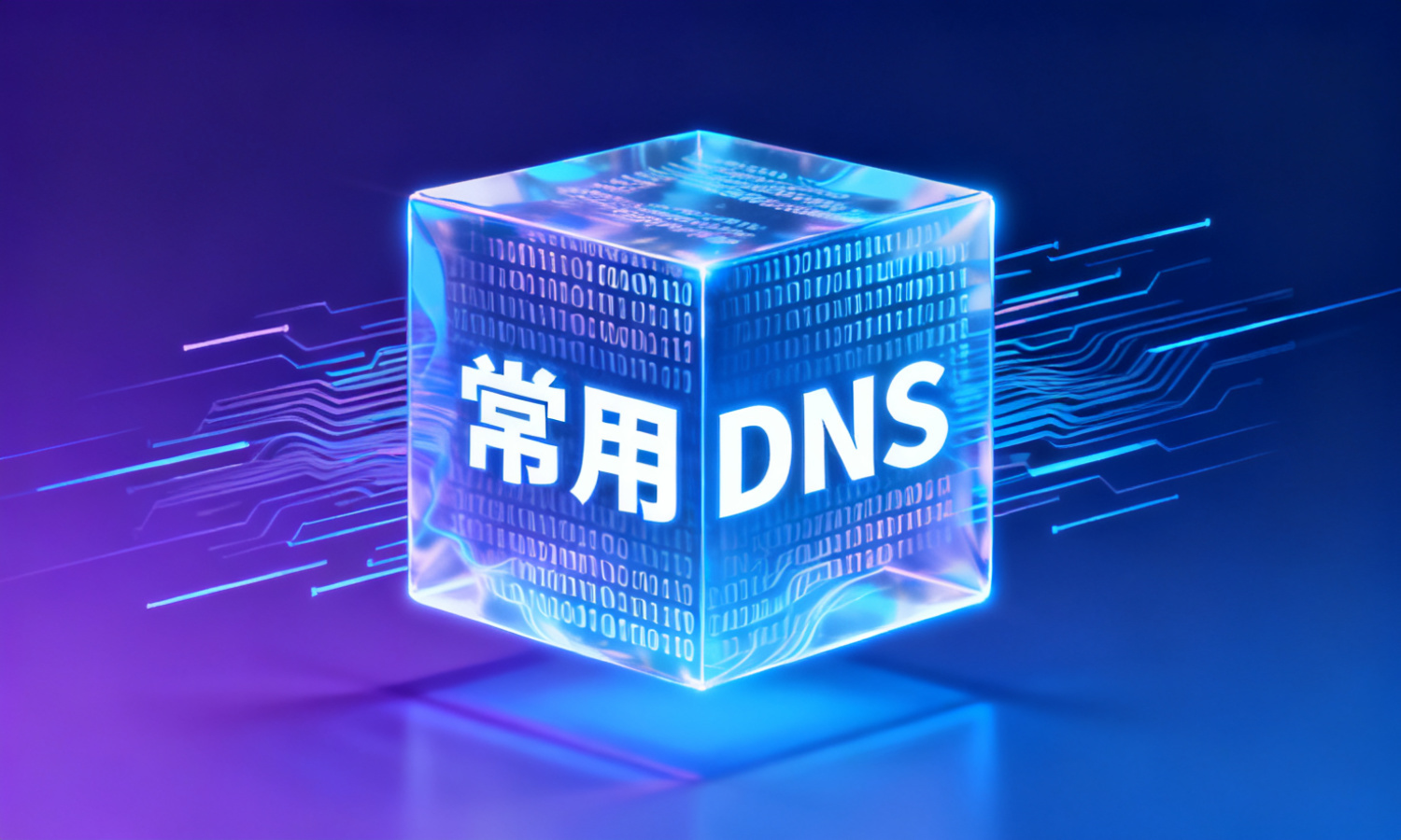 常用DNS