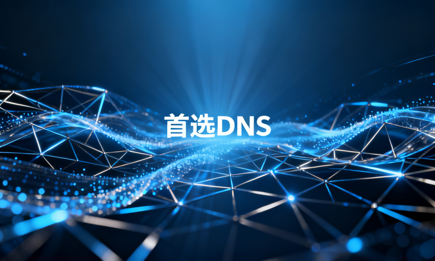 首选DNS