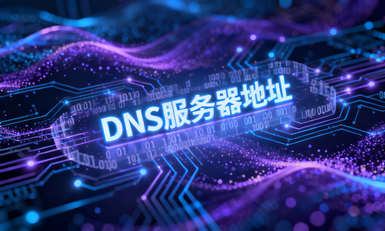 DNS服务器地址