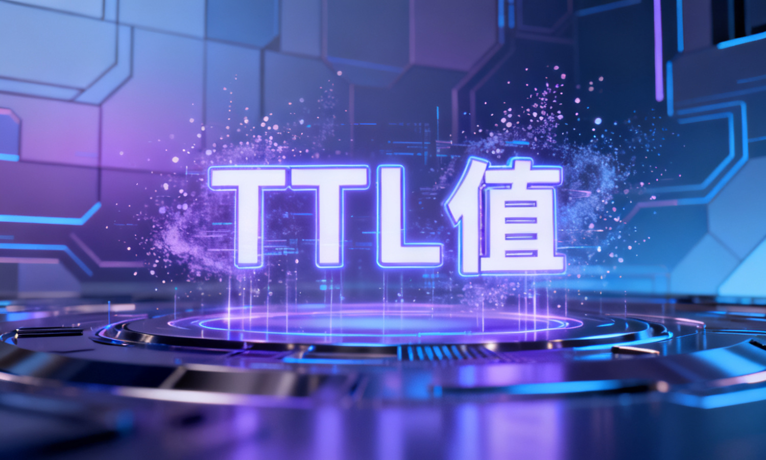 TTL值
