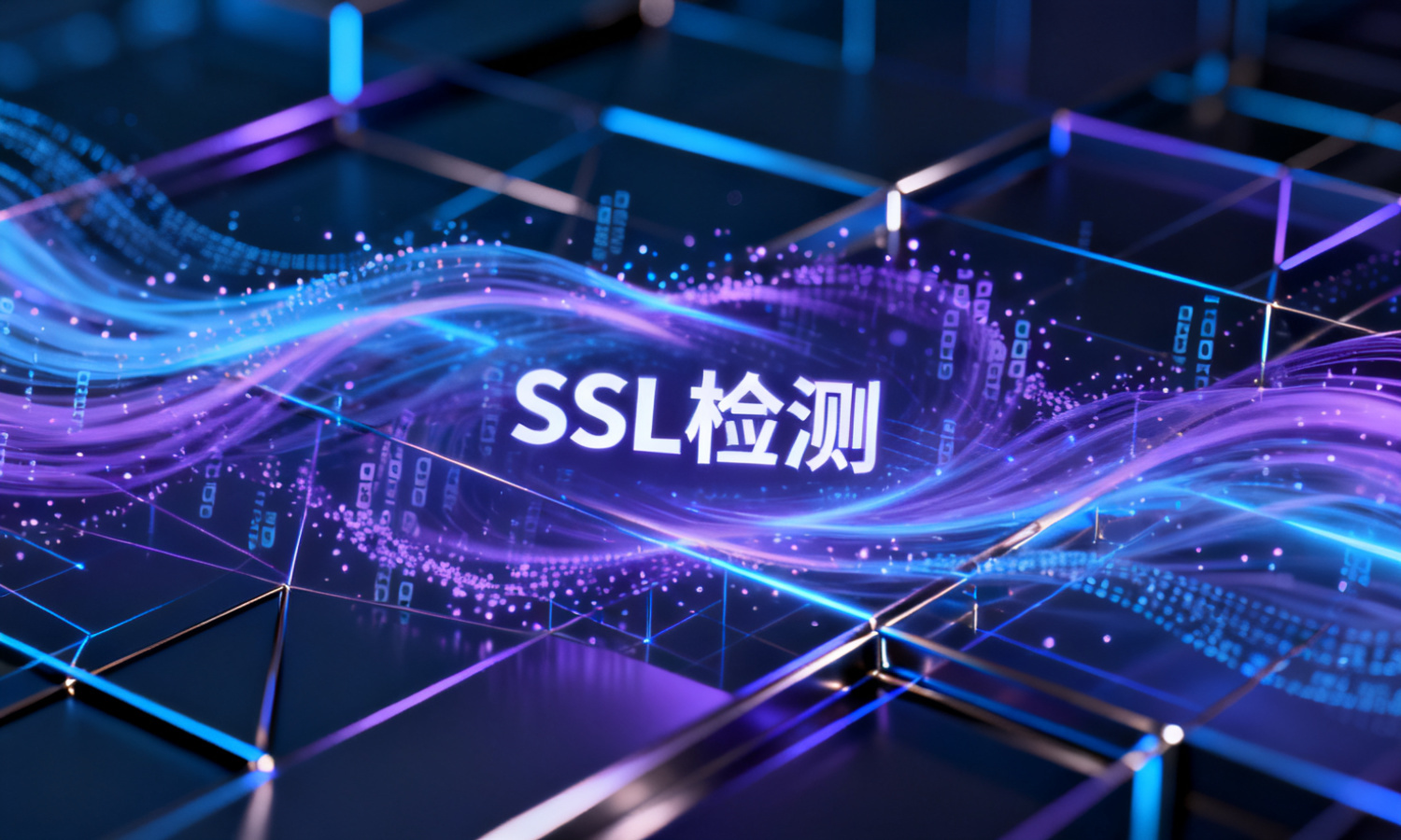 SSL检测
