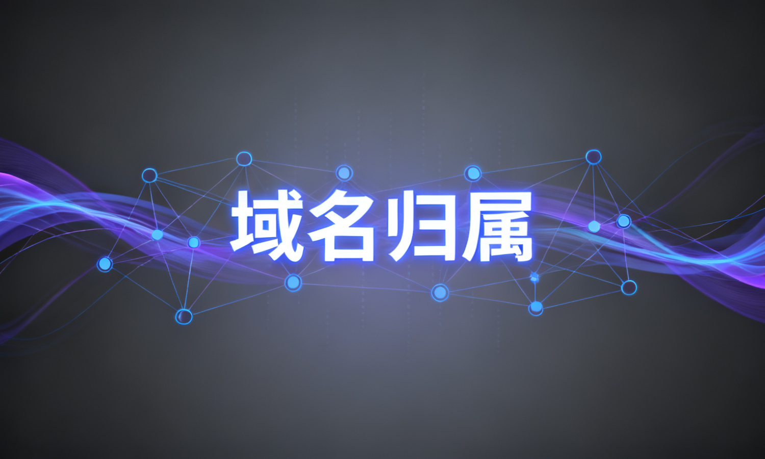 域名归属