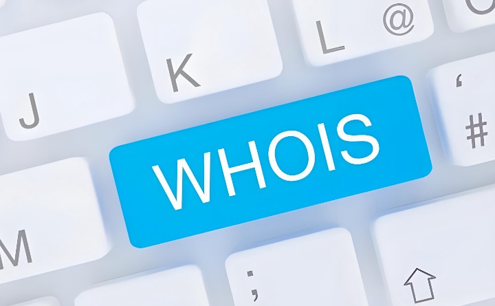 域名注册信息