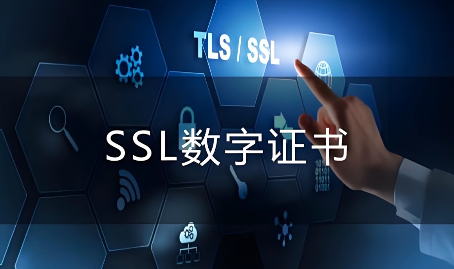 SSL数字证书