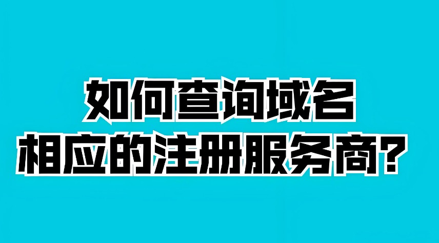 域名信息查询