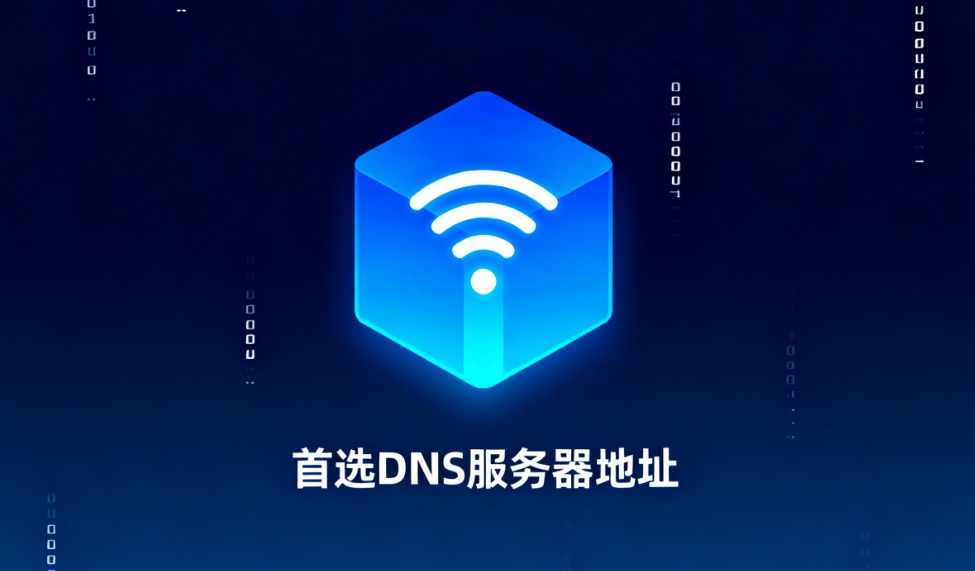 首选DNS服务器地址