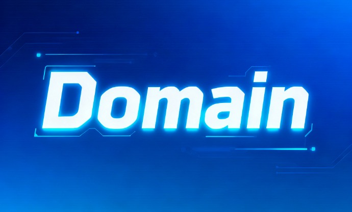 域名的格式
