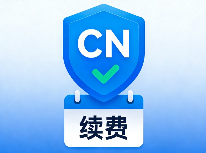 cn域名