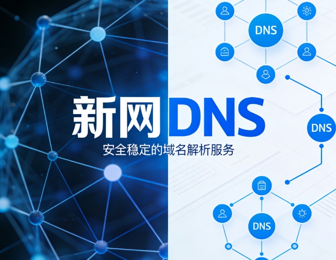 新网DNS