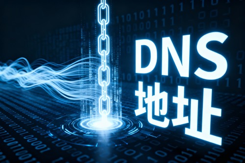 DNS地址