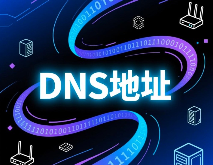 DNS地址
