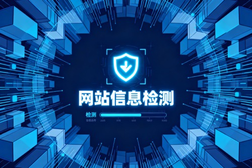 网站信息检测
