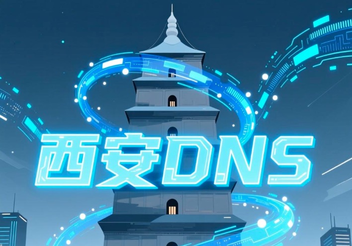 西安DNS