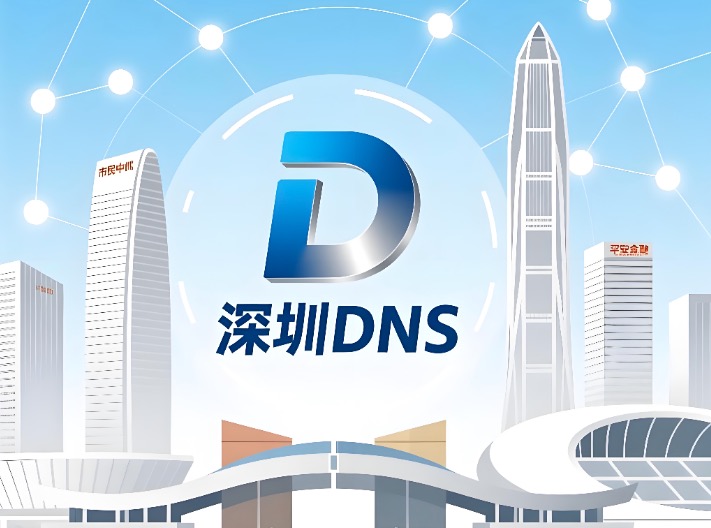 深圳DNS