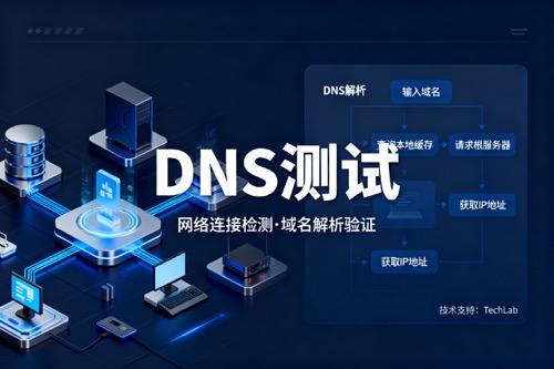 DNS测试