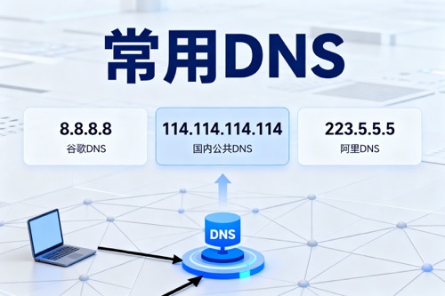 常用DNS