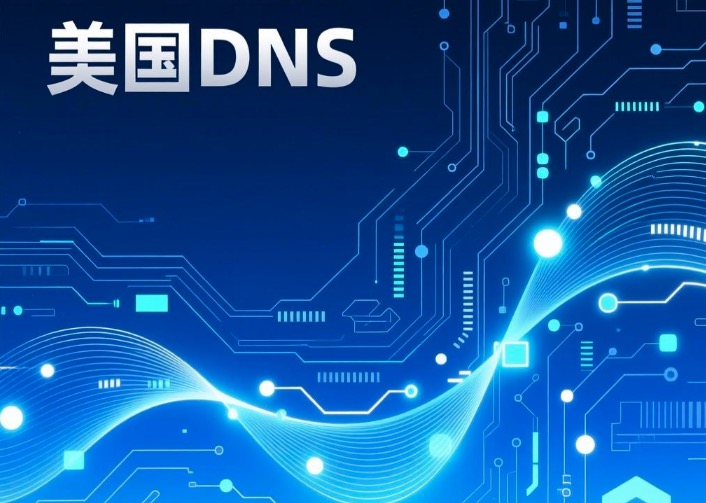 美国DNS