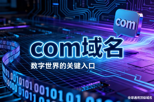 com域名