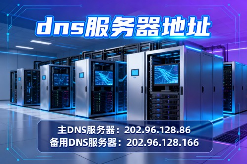 DNS服务器地址