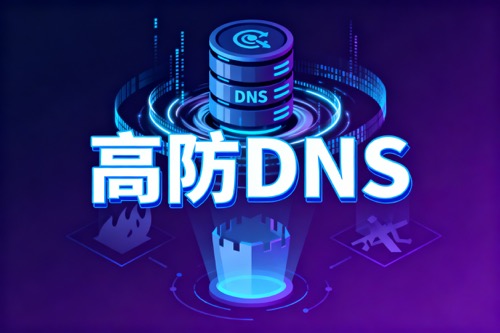 高防DNS