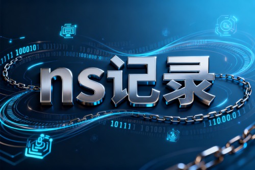 ns记录