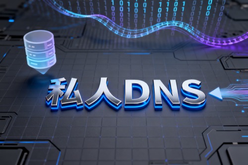 私人DNS