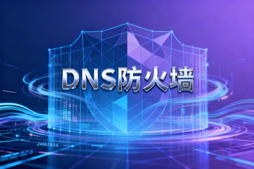 DNS防火墙