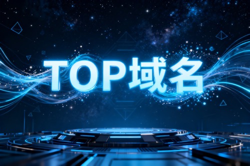 TOP域名